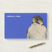 Gyrfalcon Saker Hybrid Falcon Post-it Klebezettel (Auf Schreibtisch)