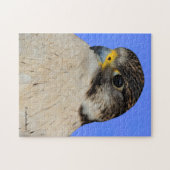 Gyrfalcon Saker Hybrid Falcon Puzzle (Horizontal)