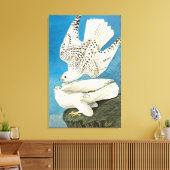 Gyrfalcons, alias Gerfalcons von John James Audubo Leinwanddruck (Insitu (Wohnzimmer))