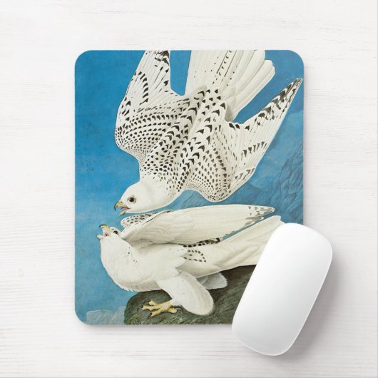Gyrfalcons, alias Gerfalcons von John James Audubo Mousepad (Mit Mouse)