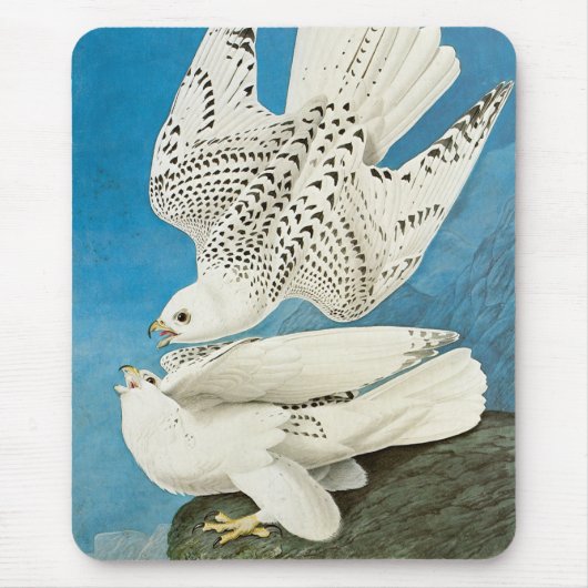 Gyrfalcons, alias Gerfalcons von John James Audubo Mousepad (Vorne)