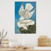 Gyrfalcons, alias Gerfalcons von John James Audubo Poster (Küche)