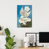 Gyrfalcons, alias Gerfalcons von John James Audubo Poster (Heimbüro)