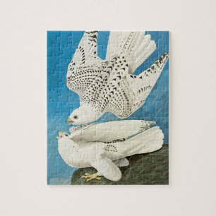 Gyrfalcons, alias Gerfalcons von John James Audubo Puzzle