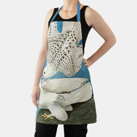 Gyrfalcons, alias Gerfalcons von John James Audubo Schürze (InSitu)