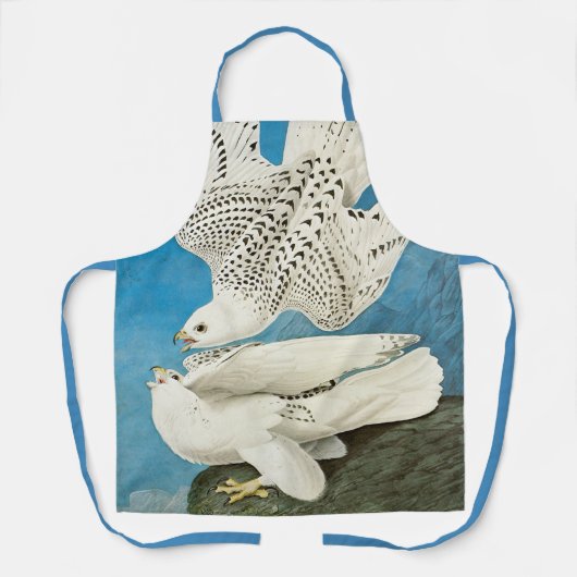 Gyrfalcons, alias Gerfalcons von John James Audubo Schürze (Vorderseite)