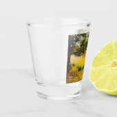 Gysinge Sommerfeld Schnapsglas (Links)