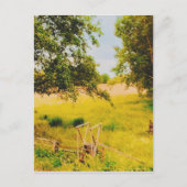 Gysinge Summer Field Postkarte (Vorderseite)