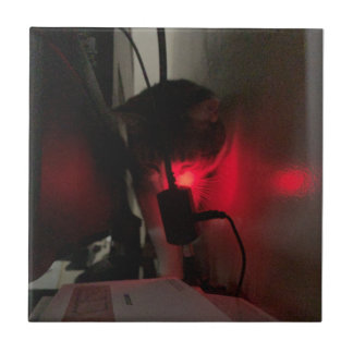 GZ & LTS - POWER-MODUS TURBO FLIESE