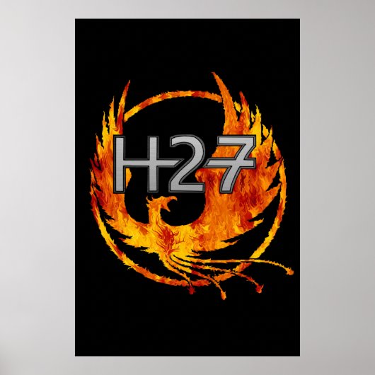 H27-Poster Poster (Vorne)