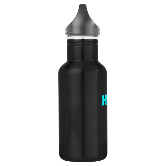 H2O EDELSTAHLFLASCHE (Links)