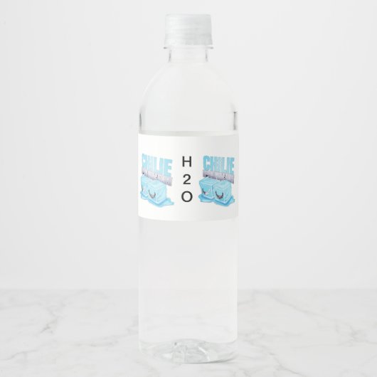 H2O WASSERFLASCHENETIKETT (Vorderseite)
