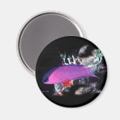 H2Oasis Basslet Magnet (Vorderseite/Rückseite)