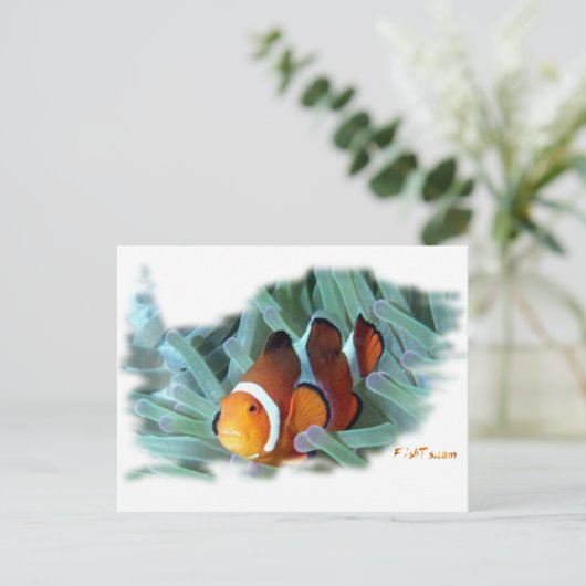 H2Oasis Clownfish Postkarte (Stehend Vorderseite)