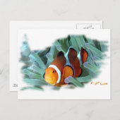 H2Oasis Clownfish Postkarte (Vorne/Hinten)