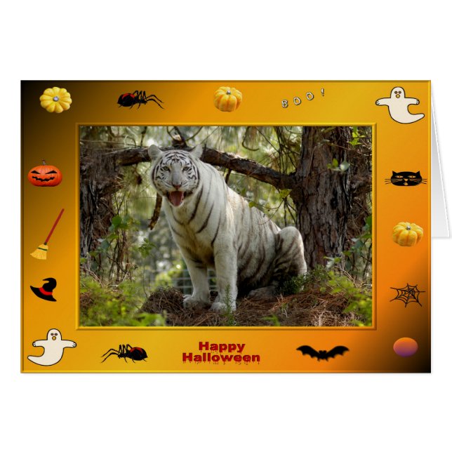 h-218-zabu (Vorderseite (Horizontal))