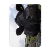 H.A.S. Arts Kuh Magnet (Vertikal)