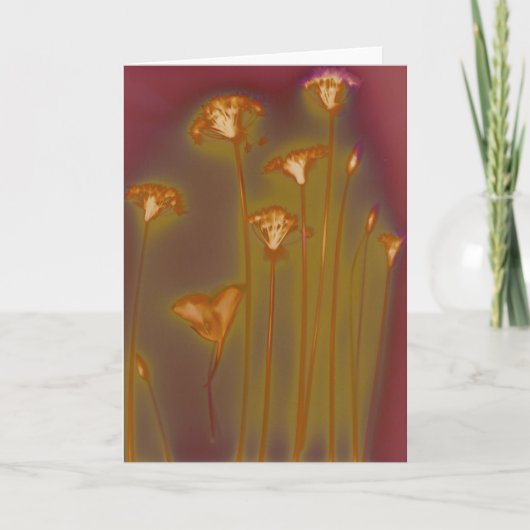 H.A.S. Kunstgrußkarte, Bild Loughdetail Karte (Vorderseite)