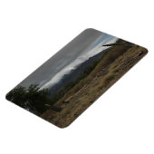 H.A.S. Kunstmagnet, Bild Bosque Magnet (Linke Seite)