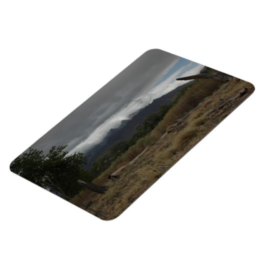 H.A.S. Kunstmagnet, Bild Bosque Magnet (Linke Seite)