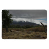 H.A.S. Kunstmagnet, Bild Bosque Magnet (Horizontal)