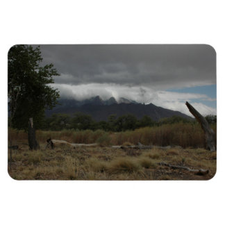 H.A.S. Kunstmagnet, Bild Bosque Magnet