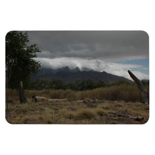 H.A.S. Kunstmagnet, Bild Bosque Magnet (Horizontal)