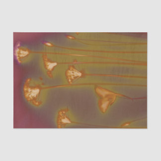 H.A.S. KunstSeidenpapier, Loughbilddetail Seidenpapier