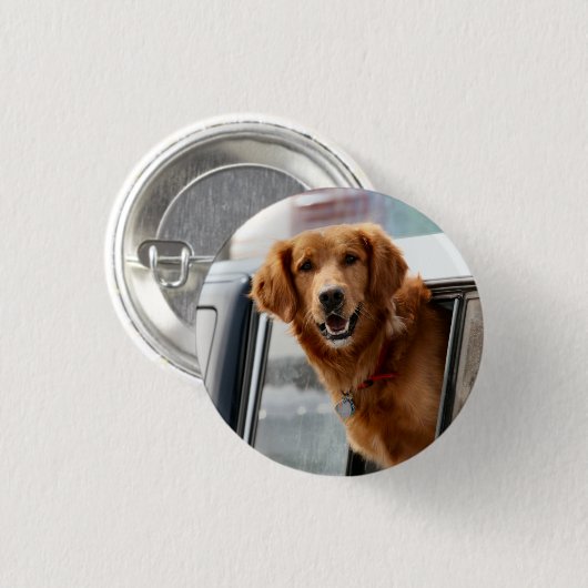 H BUTTON (Vorne & Hinten)