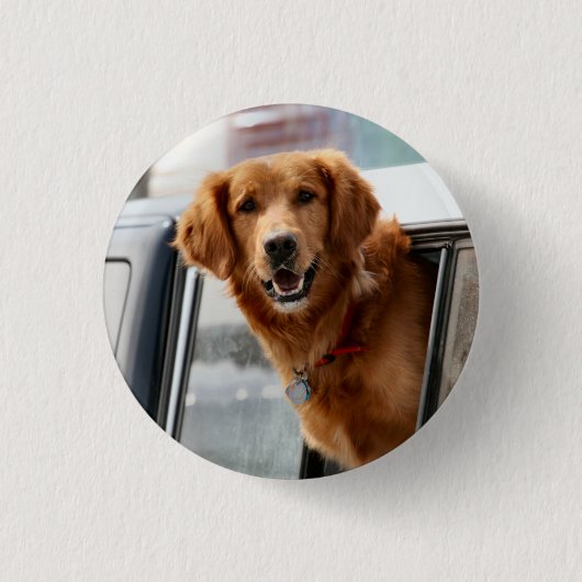 H BUTTON (Vorderseite)