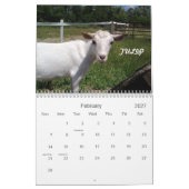 H.H. Kalender der Garten-Ziegen-2010 (Feb 2027)