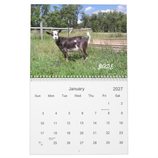 H.H. Kalender der Garten-Ziegen-2010 (Jan 2027)