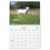 H.H. Kalender der Garten-Ziegen-2010 (Mär 2027)