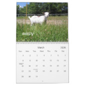 H.H. Kalender der Garten-Ziegen-2010 (Mär 2026)