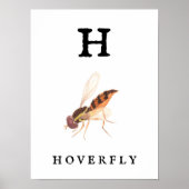 "H" Hoverfly Print, Value Poster Paper (Matte) (Vorne)