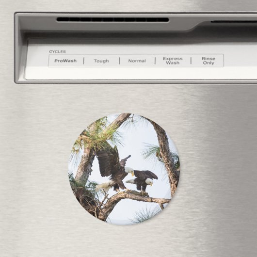 H & M Magnet (In Situ (Geschirrspüler))