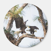 H & M Magnet (Vorne)