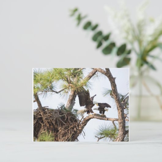 H & M Postkarte (Stehend Vorderseite)