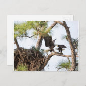 H & M Postkarte (Vorne/Hinten)