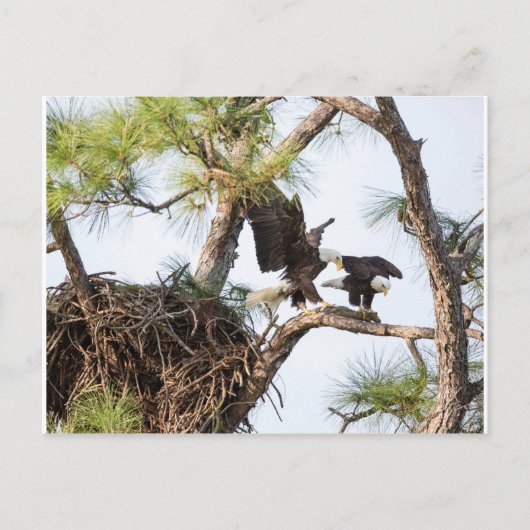 H & M Postkarte (Vorderseite)