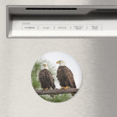 H&O Circle Magnet (verschiedene Größen verfügbar) (In Situ (Geschirrspüler))