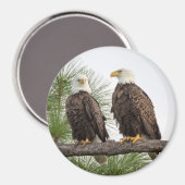 H&O Circle Magnet (verschiedene Größen verfügbar) (Vorderseite/Rückseite)