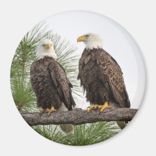 H&O Circle Magnet (verschiedene Größen verfügbar)