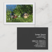 H. und Frau Mallard (Grenze) Visitenkarte (Vorne/Hinten)