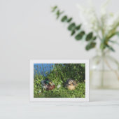 H. und Frau Mallard (Grenze) Visitenkarte (Stehend Vorderseite)