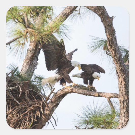 H- und M-Aufkleber Quadratischer Aufkleber (Vorderseite)