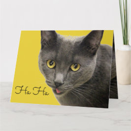 Ha Ha Old One Happy Birthday Karte