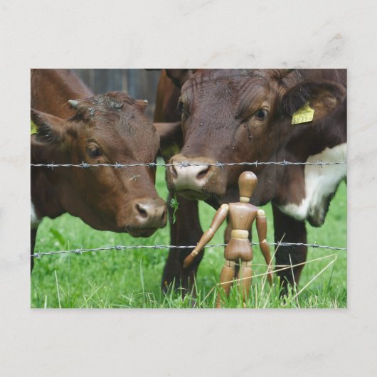 Hä? Postkarte (Vorderseite)