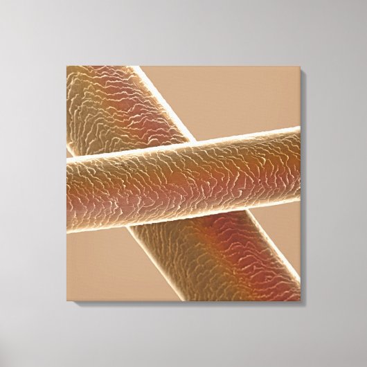 Haare Leinwanddruck (Vorderseite)