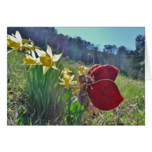 Haare und gelbe Blumen